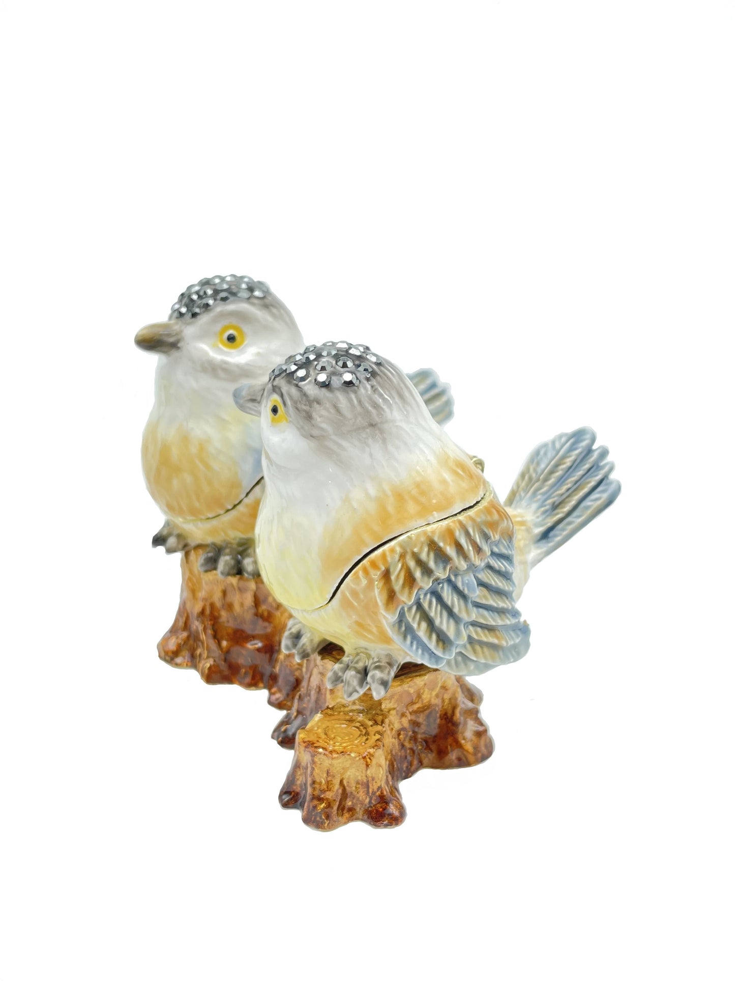 Keren Kopal Two Birds on a tree Branch