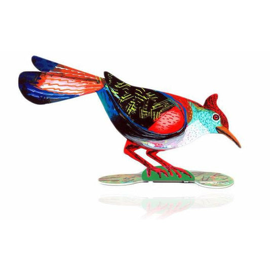 דוד גרשטיין | ציפור כשרונית