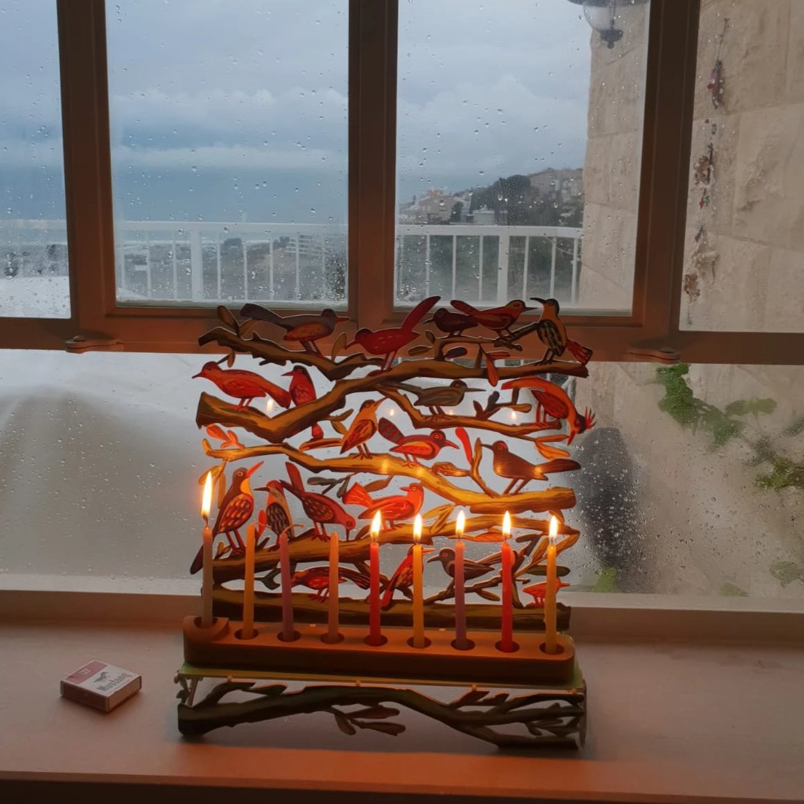 דוד גרשטיין | חנוכייה ציפורים