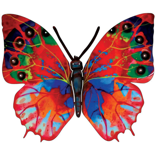 דוד גרשטיין | פרפר הדר