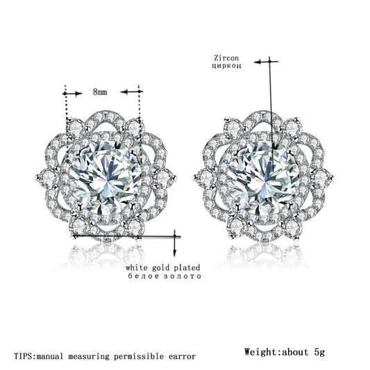 עגילי סטאד זירקוניה