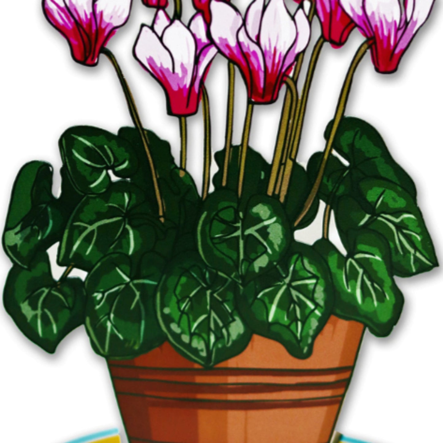 עציץ רקפות 33 ס"מ - תמונה 2