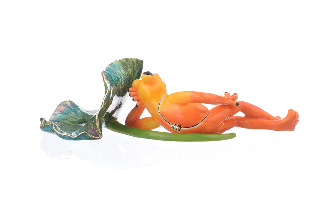 Keren Kopal Frog Lying on Leaf