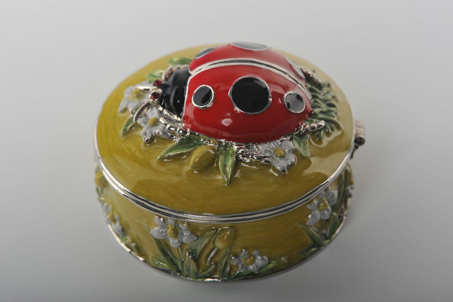 Keren Kopal Green Box with Red Ladybug