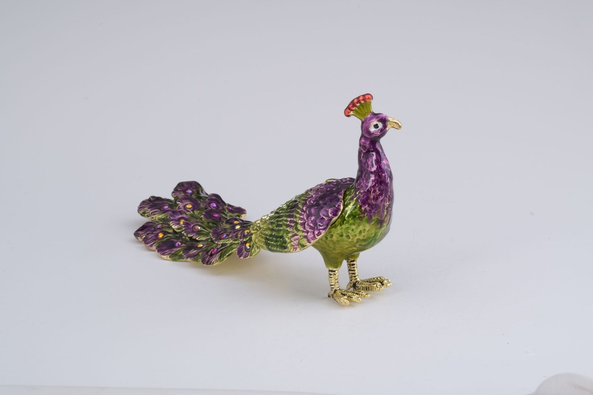 Keren Kopal Peacock