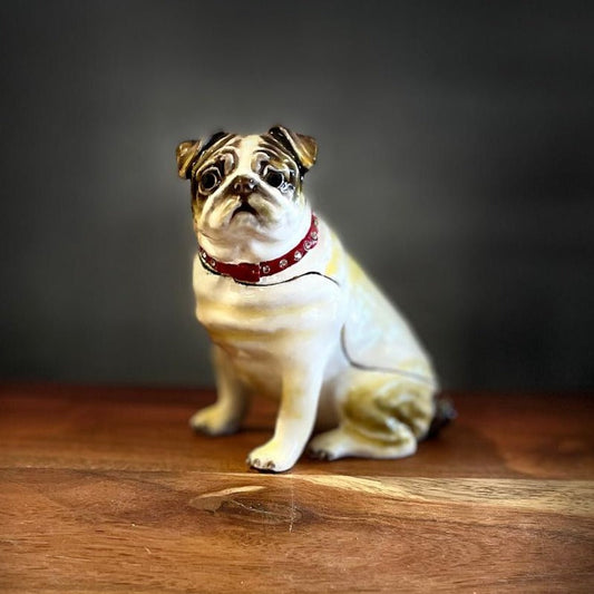 Keren Kopal white bulldog dog
