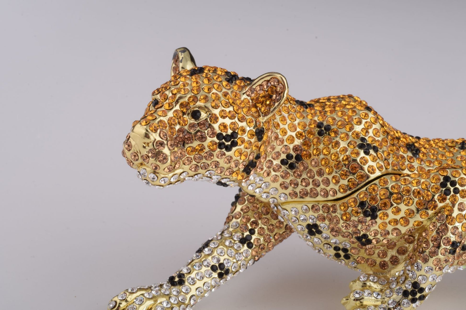 Keren Kopal Brown Lioness, cheetah